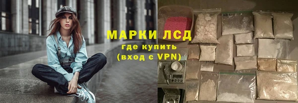 spice Вяземский