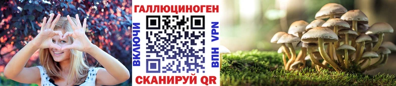 Псилоцибиновые грибы GOLDEN TEACHER  Шуя 